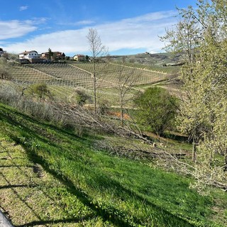 Castiglione Falletto premiata per la sostenibilità: riconoscimento ai Prati di San Lorenzo