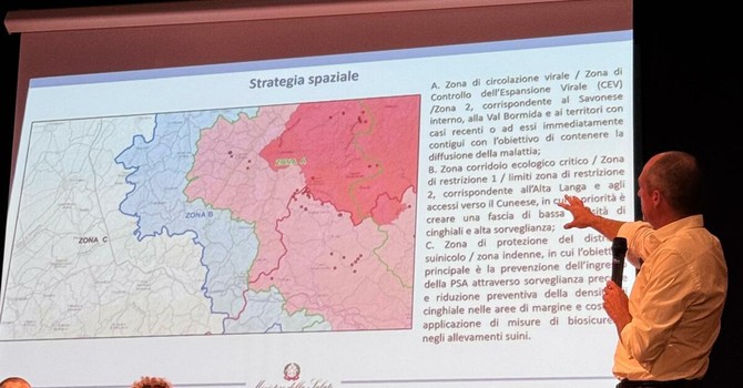 Peste Suina Africana, aggiornate le zone di restrizione nel Cuneese: la mappa dei Comuni coinvolti