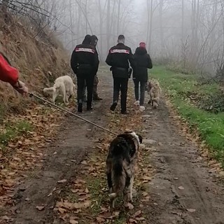 I tre cani sequestrati a Pramollo