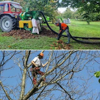 Difesa e innovazione del castagno: tornano le prove in campo di Confagricoltura a Caraglio