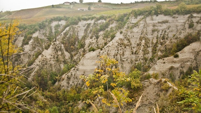 Rocche di Barbaresco geosito del Piemonte, Italia Nostra: “Riconoscimento positivo, ora tutela concreta” Rocche di Barbaresco geosito del Piemonte, Italia Nostra: “Riconoscimento positivo, ora tutela concreta”