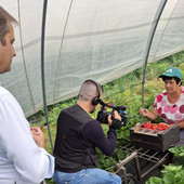 Buongiorno Regione, Varrone (Cia Cuneo): "Fragole di Peveragno e ortofrutta biologica di Fossano protagonisti"