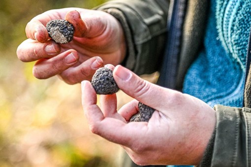 (ph Danilo Ninotto - Archivio Atl del Cuneese)