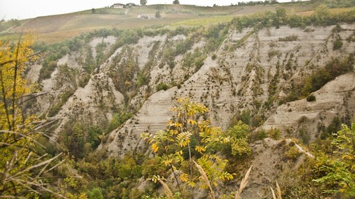 Rocche di Barbaresco geosito del Piemonte, Italia Nostra: “Riconoscimento positivo, ora tutela concreta” Rocche di Barbaresco geosito del Piemonte, Italia Nostra: “Riconoscimento positivo, ora tutela concreta”