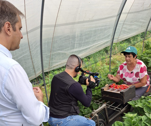 Buongiorno Regione, Varrone (Cia Cuneo): "Fragole di Peveragno e ortofrutta biologica di Fossano protagonisti" Buongiorno Regione, Varrone (Cia Cuneo): "Fragole di Peveragno e ortofrutta biologica di Fossano protagonisti"