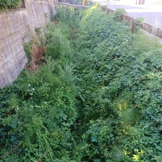 La situazione dello scolmatore del Rio Misureto La situazione dello scolmatore del Rio Misureto