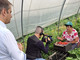 Buongiorno Regione, Varrone (Cia Cuneo): "Fragole di Peveragno e ortofrutta biologica di Fossano protagonisti" Buongiorno Regione, Varrone (Cia Cuneo): "Fragole di Peveragno e ortofrutta biologica di Fossano protagonisti"