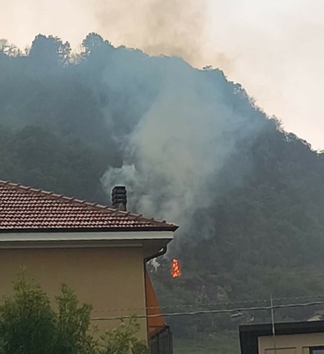 Domati due incendi boschivi in meno di 48 ore nella zona di Revello Domati due incendi boschivi in meno di 48 ore nella zona di Revello
