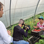 Buongiorno Regione, Varrone (Cia Cuneo): "Fragole di Peveragno e ortofrutta biologica di Fossano protagonisti" Buongiorno Regione, Varrone (Cia Cuneo): "Fragole di Peveragno e ortofrutta biologica di Fossano protagonisti"