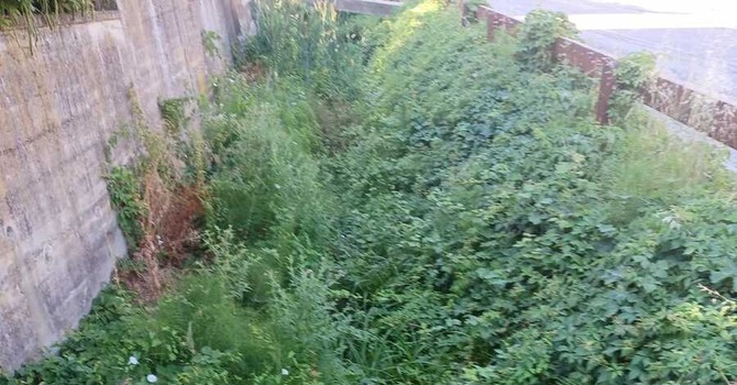 La situazione dello scolmatore del Rio Misureto La situazione dello scolmatore del Rio Misureto