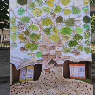 L’albero simbolo del progetto di continuità “Radici per volare” L’albero simbolo del progetto di continuità “Radici per volare”