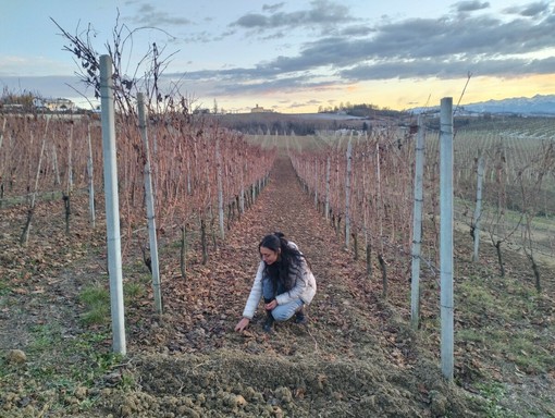 Langa Cruda: l'artista Sara Melis trasforma la terra dei vigneti langaroli in opere d'arte