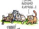 Oggi è tornata elettorale in molte zone della Granda Oggi è tornata elettorale in molte zone della Granda