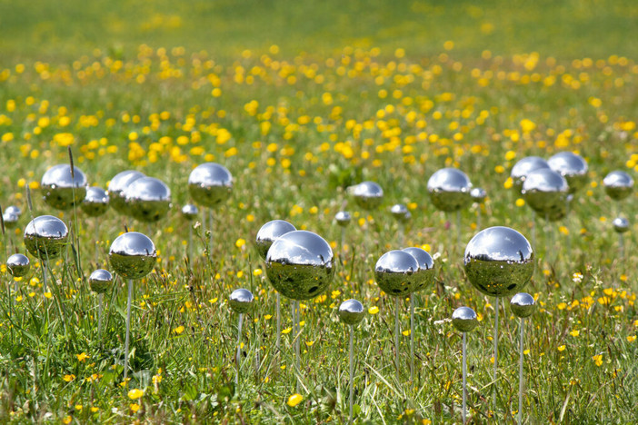 Stefano Caimi, "Fairy Ring"