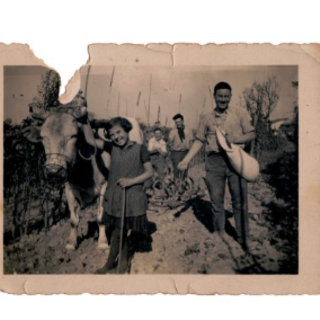 A Trezzo Tinella Andreina Marenco racconta la memoria delle Langhe alla Chiesa dei Battuti A Trezzo Tinella Andreina Marenco racconta la memoria delle Langhe alla Chiesa dei Battuti