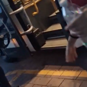 Autista nega l'accesso al bus a una quattordicenne: "Io faccio salire solo gli italiani" Autista nega l'accesso al bus a una quattordicenne: "Io faccio salire solo gli italiani"