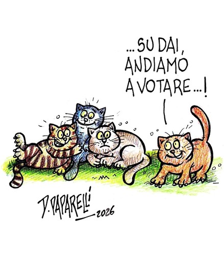Oggi è tornata elettorale in molte zone della Granda