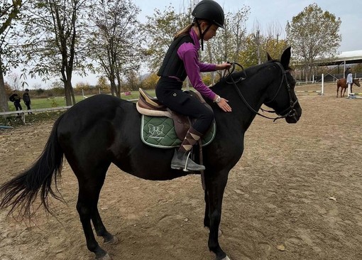 Stella al maneggio Equi Stella al maneggio Equi