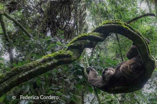 A Dogliani la mostra fotografica  “Il Respiro della Terra” di Federica Cordero