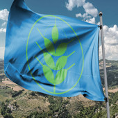 “Spighe Verdi” aperto il bando 2026: riconoscimenti ai Comuni sostenibili “Spighe Verdi” aperto il bando 2026: riconoscimenti ai Comuni sostenibili