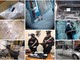 Le immagini relative all'indagine diffuse dalla Compagnia Carabinieri di Savona