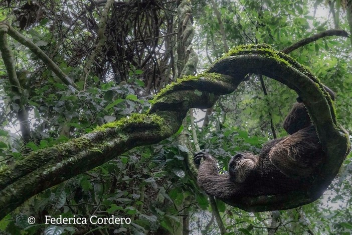 A Dogliani la mostra fotografica  “Il Respiro della Terra” di Federica Cordero