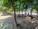 Saluzzo, braccianti africani al parco Gullino Saluzzo, braccianti africani al parco Gullino