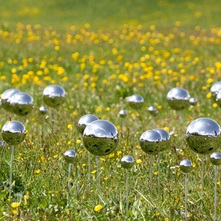 Stefano Caimi, "Fairy Ring"