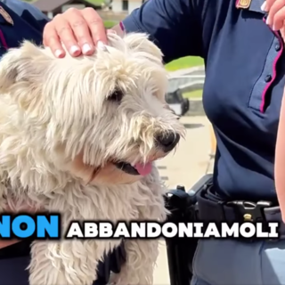 Periodo di partenze: lo spot della Polizia di Stato contro l'abbandono degli animali