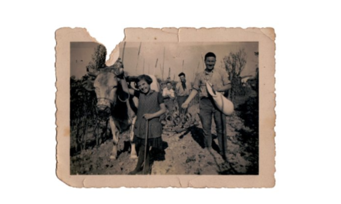 A Trezzo Tinella Andreina Marenco racconta la memoria delle Langhe alla Chiesa dei Battuti A Trezzo Tinella Andreina Marenco racconta la memoria delle Langhe alla Chiesa dei Battuti