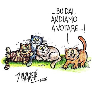 Oggi è tornata elettorale in molte zone della Granda Oggi è tornata elettorale in molte zone della Granda