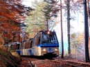 In foto il Treno del Foliage In foto il Treno del Foliage