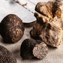 Vacanze Astigiane nel Nero Sublime di Castagnole delle Lanze