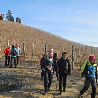 Trekking in Langa, 500 chilometri di sentieri tra Barolo, Barbaresco e Alta Langa: “Qui il cammino è un altro modo di vivere il territorio”