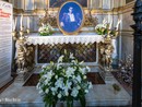 La tomba di san Pier Giorgio Frassati nella cattedrale di Torino (foto di Mihai Bursuc)