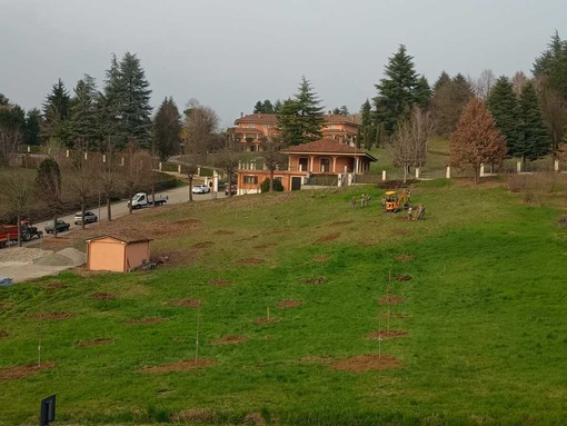 Tra i progetti di cui si parlerà nel convegno di sabato anche la tartufaia a Grinzane Cavour Tra i progetti di cui si parlerà nel convegno di sabato anche la tartufaia a Grinzane Cavour