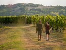 Turisti a spasso tra i vigneti (foto MIkael Masoero, Archivio Ente Turismo Lmr)