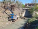 Ad Alba iniziato il lavoro di pulizia e trinciatura lungo il torrente Cherasca
