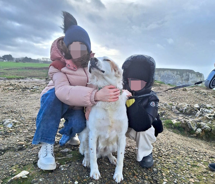 Ted insieme alle sue padroncine: il cane venne ucciso con una fucilata nel maggio 2024 Ted insieme alle sue padroncine: il cane venne ucciso con una fucilata nel maggio 2024