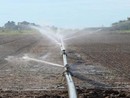 Coldiretti Piemonte: "Scarsità piogge sud Piemonte, necessarie le irrigazioni di soccorso”