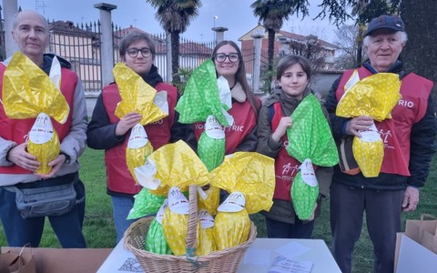 In foto i volontari Ail in azione