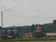 Uccelli appollaiati sui fili elettrici nella campagna di Bra