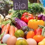 Prodotti biologici, l'allarme di Coldiretti Cuneo: "È record di importazioni straniere, troppa concorrenza sleale per i nostri produttori" Prodotti biologici, l'allarme di Coldiretti Cuneo: "È record di importazioni straniere, troppa concorrenza sleale per i nostri produttori"