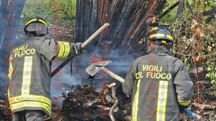 Immagine di repertorio