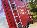 Salvato dai vigili del fuoco un vitellino a Polonghera