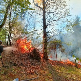 Immagine di repertorio