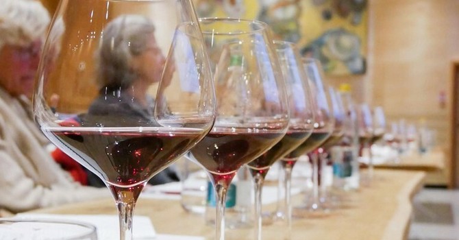 Vino, export italiano nel primo semestre 2026: Veneto n. 1 ma cresce il Piemonte. Chiude il podio la Toscana Vino, export italiano nel primo semestre 2026: Veneto n. 1 ma cresce il Piemonte. Chiude il podio la Toscana
