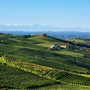 Vigneti di Moscato Vigneti di Moscato