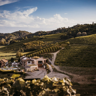 Vinicola Arno: passione, eco-sostenibilità e ospitalità di charme nel cuore del Monferrato Vinicola Arno: passione, eco-sostenibilità e ospitalità di charme nel cuore del Monferrato