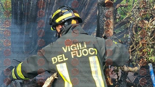 Immagine di repertorio